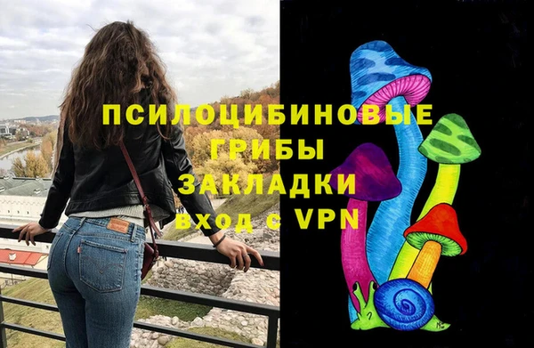 ГАЛЛЮЦИНОГЕННЫЕ ГРИБЫ Армянск