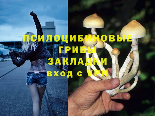 ГАЛЛЮЦИНОГЕННЫЕ ГРИБЫ Армянск