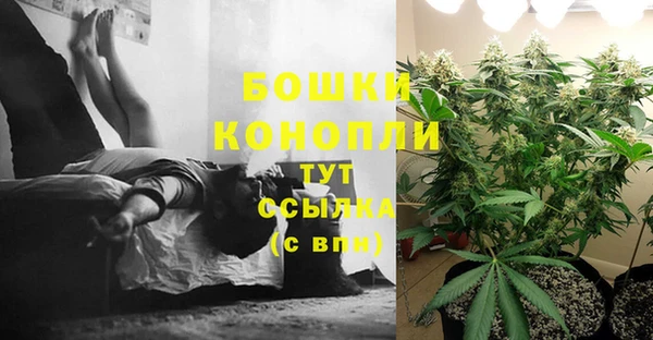 первитин Арсеньев