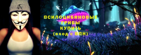 первитин Арсеньев