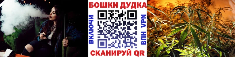 Шишки марихуана семена  Купить  Ивангород 